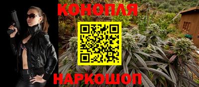 гидра Пенза