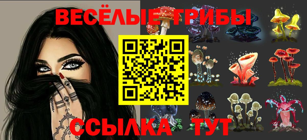 Галлюциногенные грибы прущие грибы Сочи