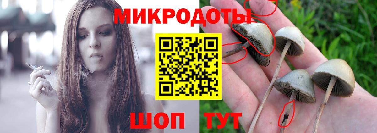 Сочи  Псилоцибиновые грибы мухоморы  Вход с VPN 